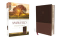 The Amplified Study Bible, Leathersoft, Brown [Large Print] cover image