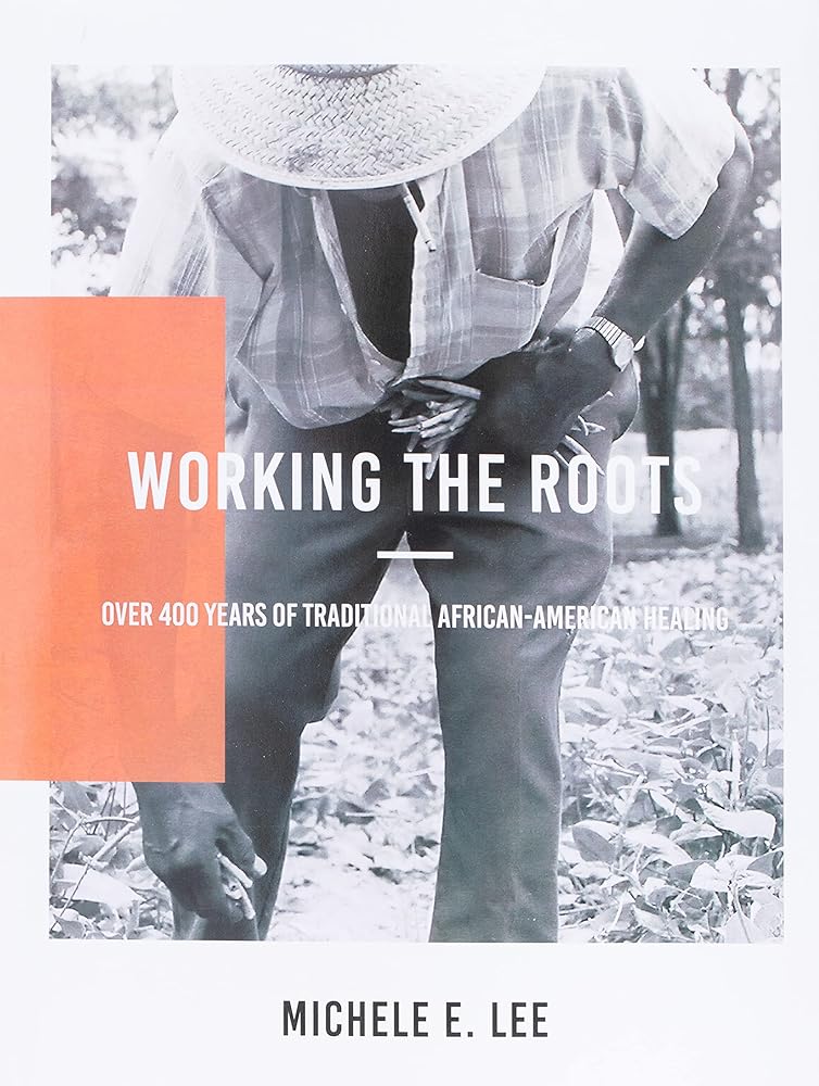 Working The Roots: Over 400 Years of Traditional African American Healing cover image