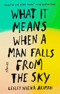 What It Means When a Man Falls from the Sky: Stories cover image