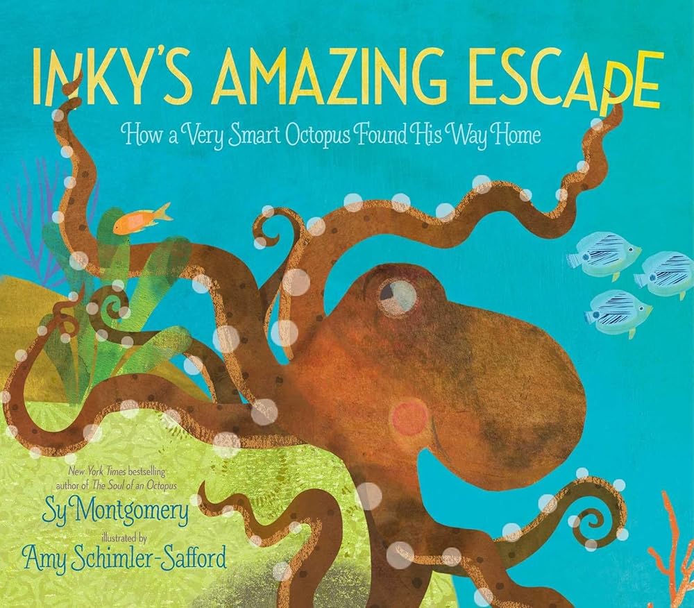 Inky's Amazing Escape: How a Very Smart Octopus Found His Way Home cover image