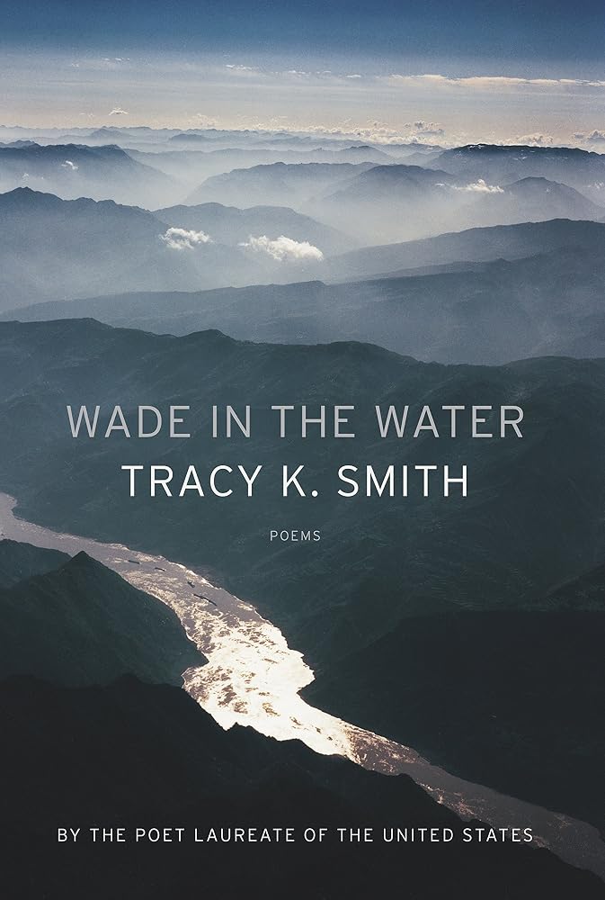 Wade in the Water: Poems cover image